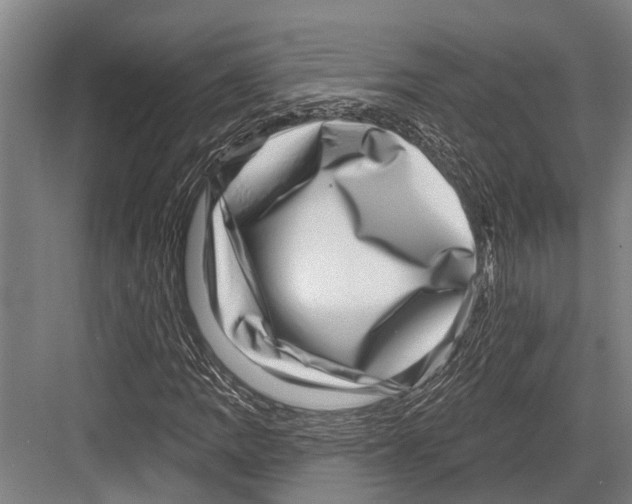 X0000081561109200702121348
