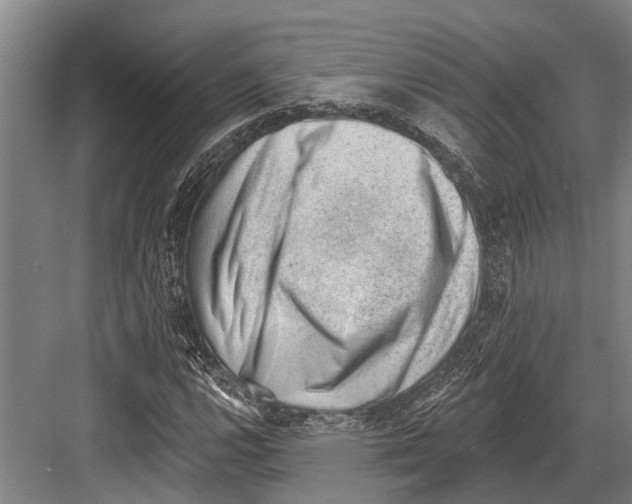 X0000081561112200702121348