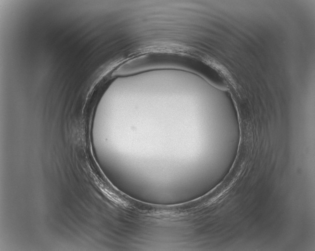 X0000081561114200702121348