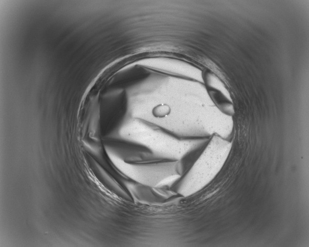 X0000081561116200702121348