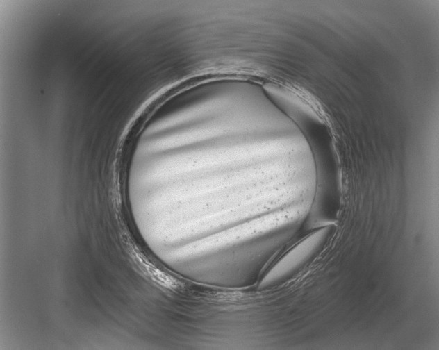 X0000081561120200702121348