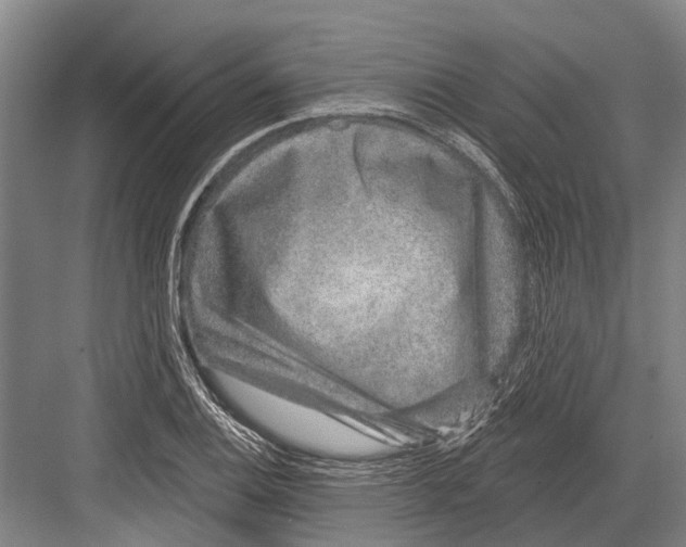 X0000081561124200702121348
