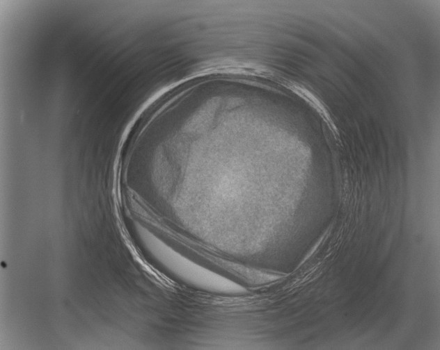 X0000081561128200702121349