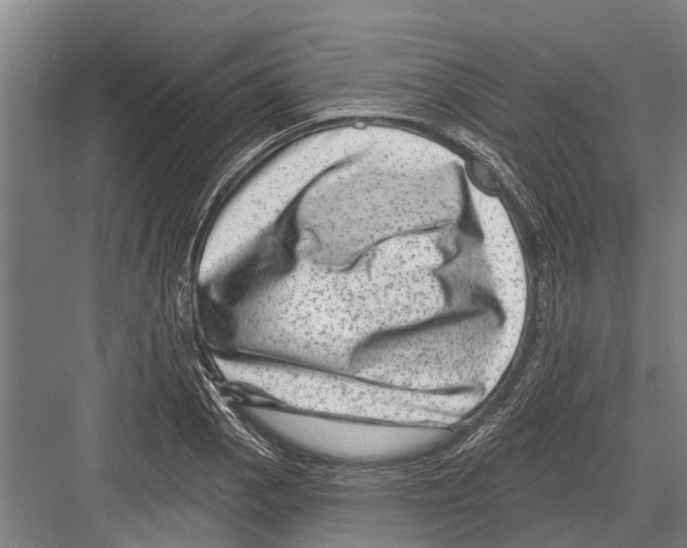 X0000081561129200702121349