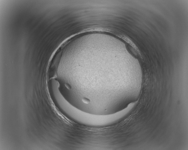 X0000081561132200702121349