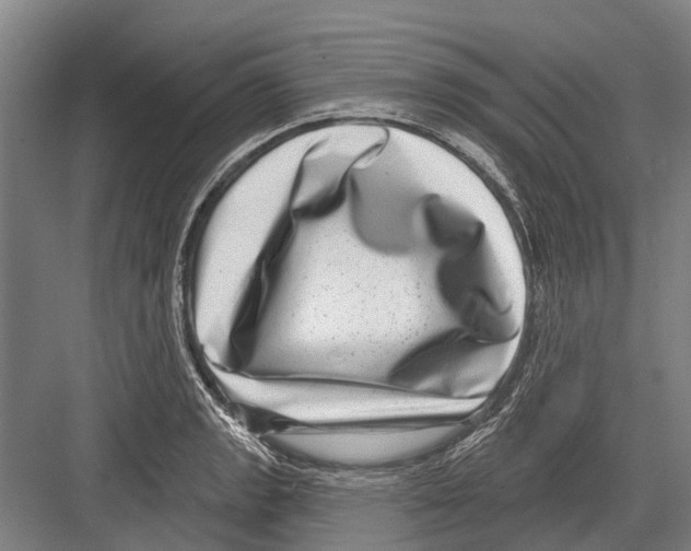 X0000081561133200702121349