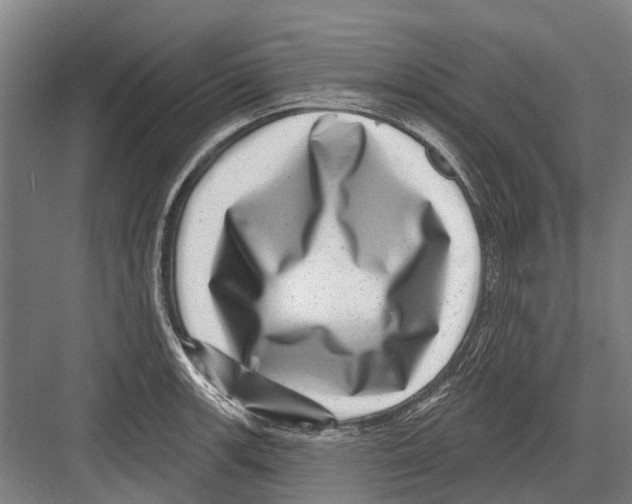 X0000081561139200702121349