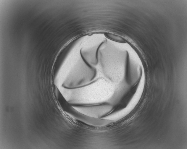 X0000081561145200702121349
