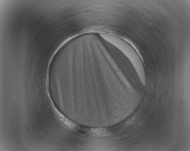 X0000081561147200702121349