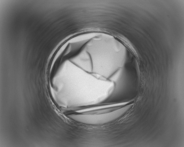 X0000081561148200702121349