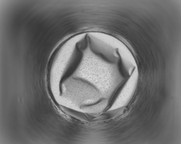X0000081561149200702121349