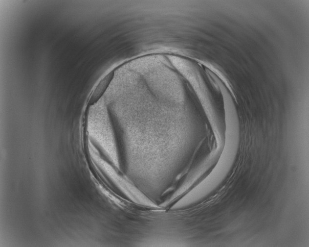 X0000081561151200702121349