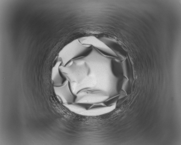 X0000081561153200702121348