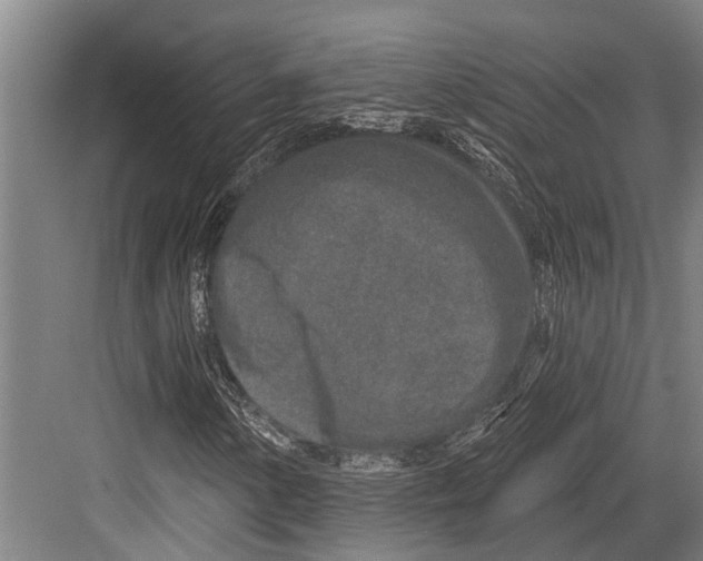 X0000081561154200702121348