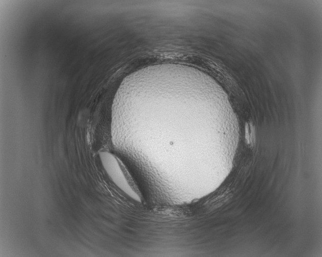 X0000081561155200702121348