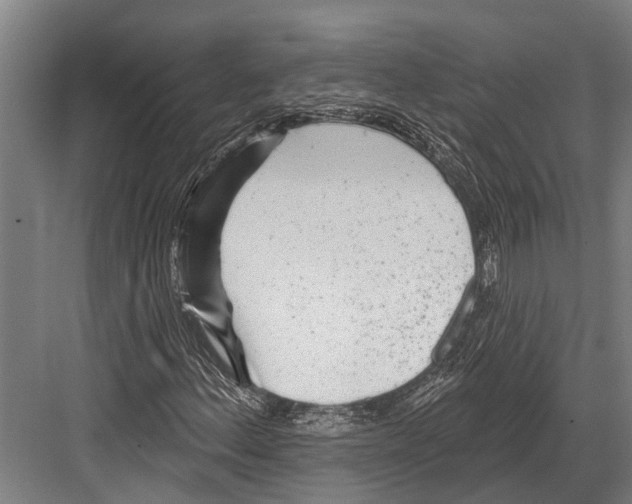 X0000081561156200702121348