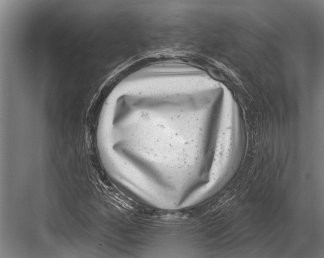 X0000081561160200702121348