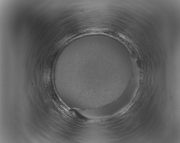 X0000081561161200702121348