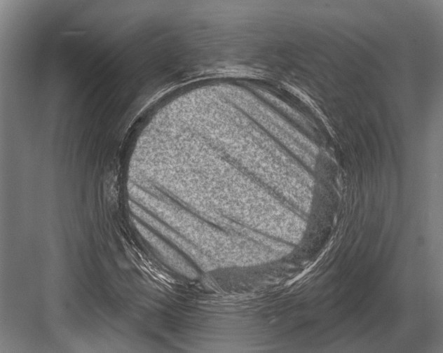 X0000081561163200702121348