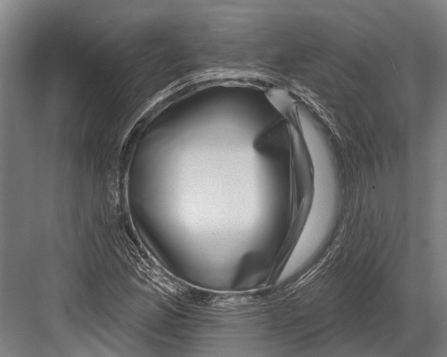 X0000081561165200702121348