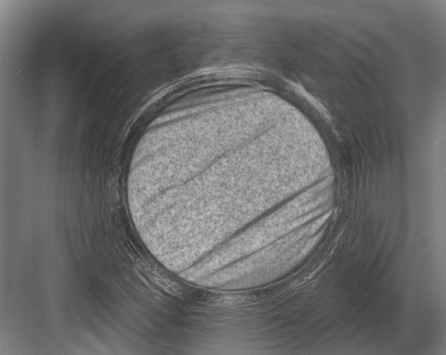 X0000081561166200702121348