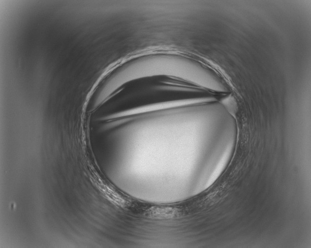 X0000081561168200702121348