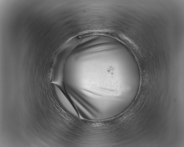 X0000081561169200702121348