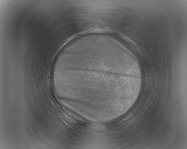 X0000081561170200702121348