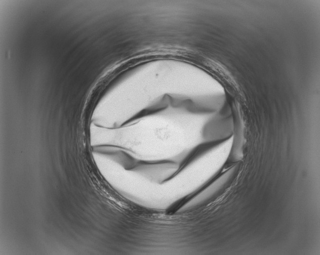X0000081561172200702121348