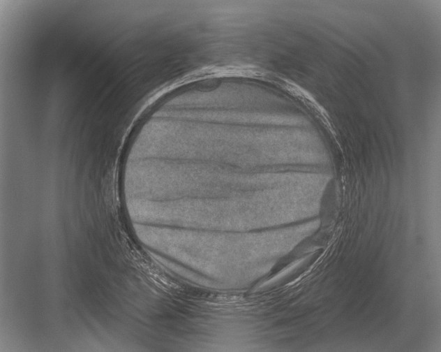 X0000081561174200702121348