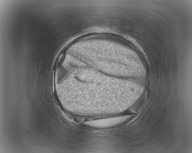 X0000081561175200702121348
