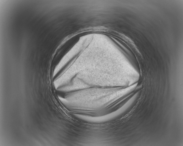 X0000081561176200702121348