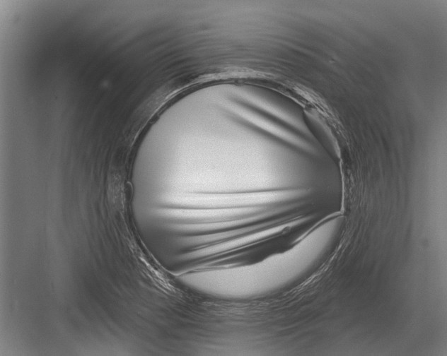 X0000081561177200702121348