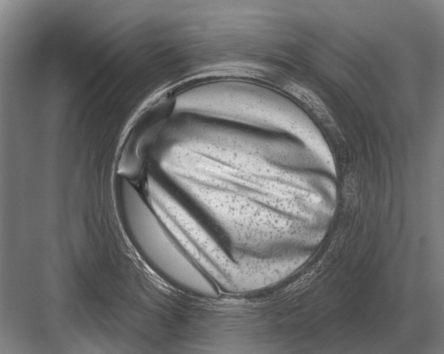 X0000081561180200702121348