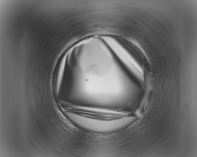 X0000081561181200702121348