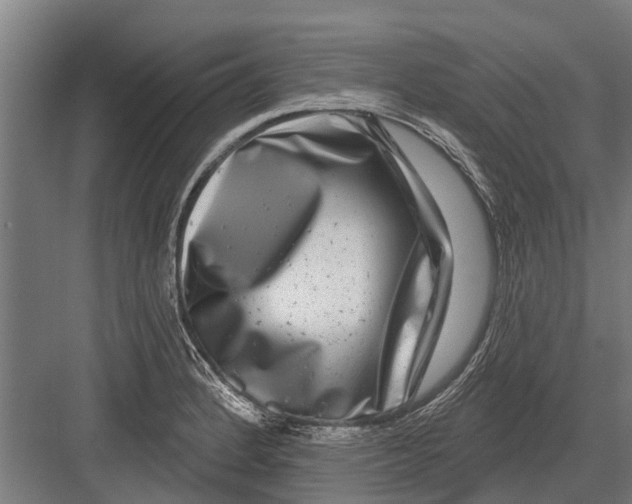 X0000081561184200702121348