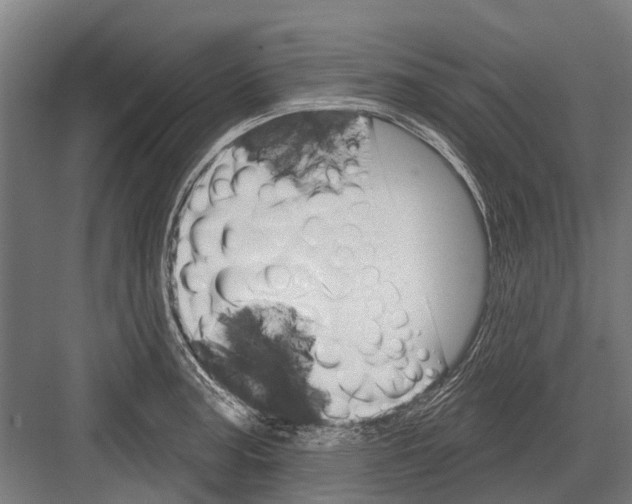 X0000081561187200702121348