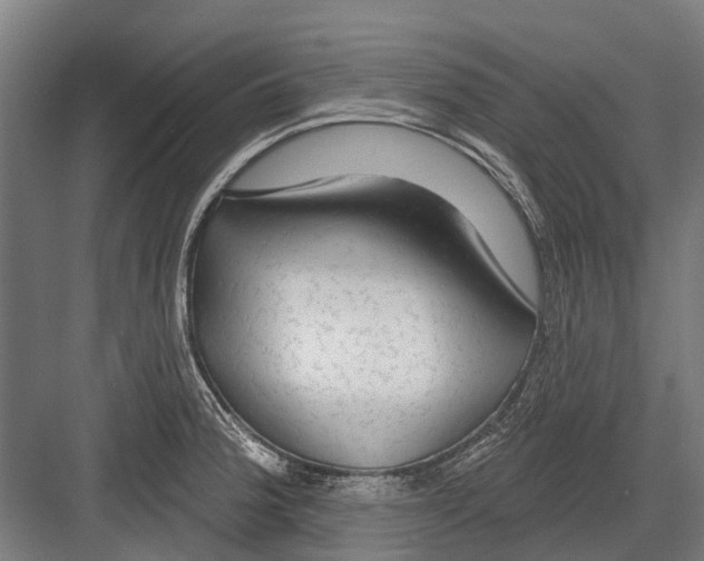 X0000081561188200702121348