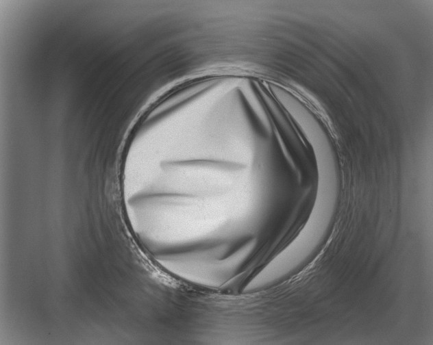 X0000081561192200702121347