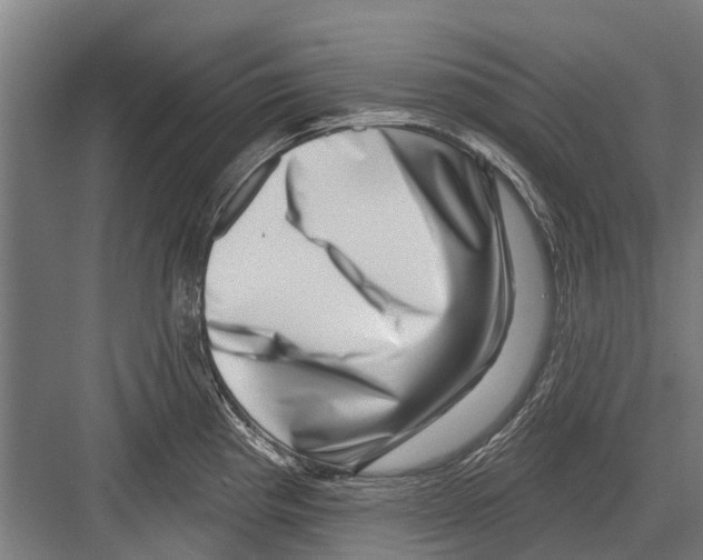 X0000081561193200702121347
