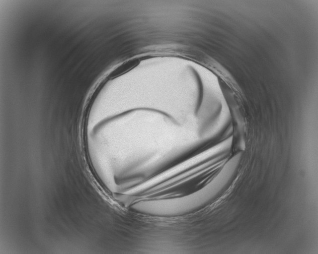 X0000081561196200702121347