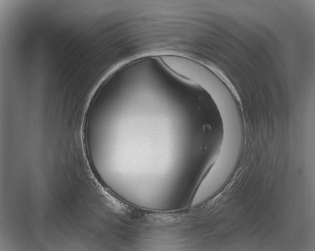 X0000081561197200702121347