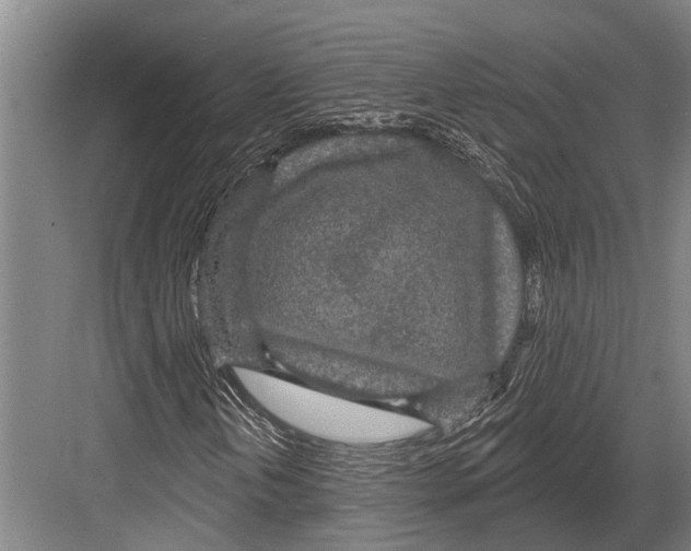 X0000081561202200702121347
