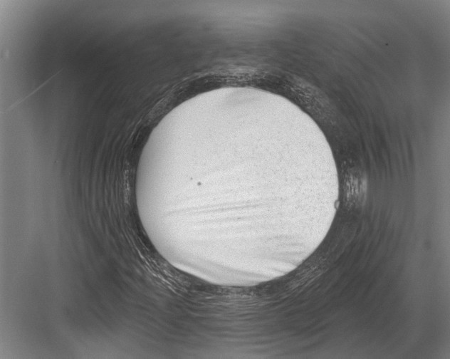 X0000081561204200702121347