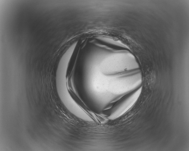 X0000081561206200702121347