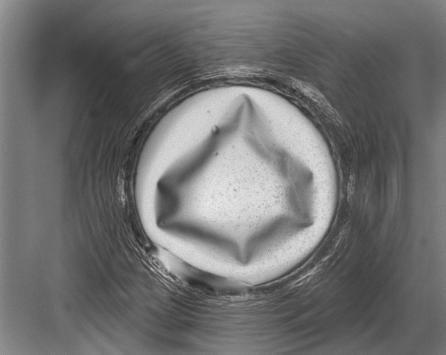 X0000081561209200702121347