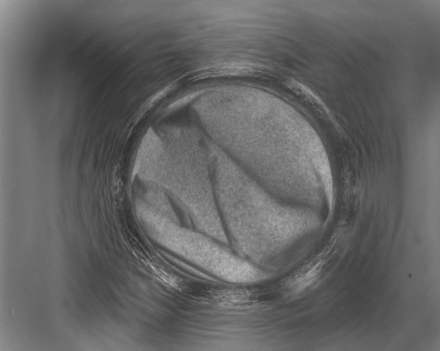 X0000081561210200702121347