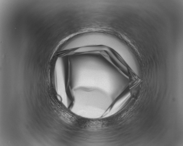 X0000081561214200702121347