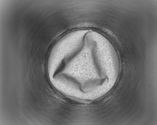 X0000081561217200702121347