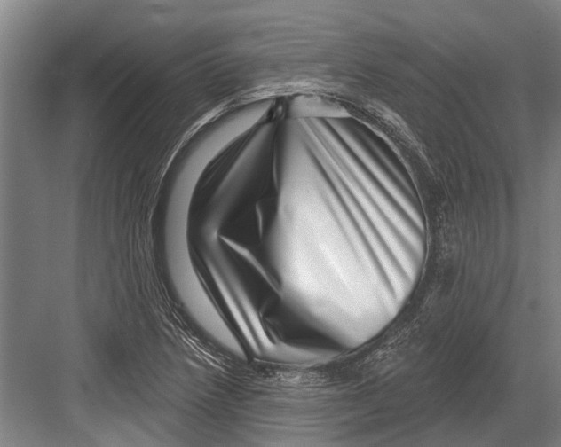 X0000081561218200702121347
